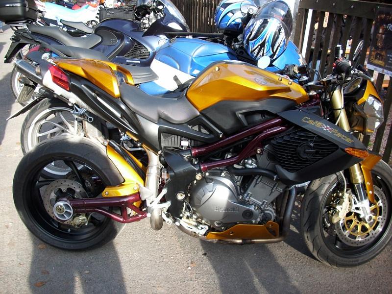 Billes bella Donna.jpg